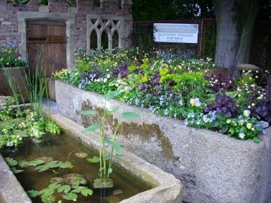 Chelsea Flower Show